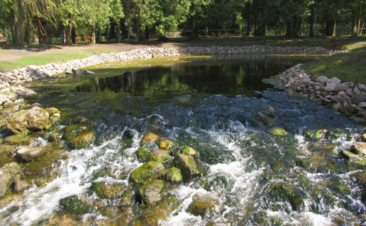 Smardones saltinis.jpg